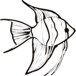 scalar